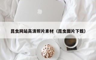 随州昆虫网站高清照片素材（昆虫图片下载）